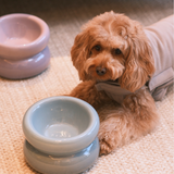 Soufflé Pet Bowl - Frozen Blue