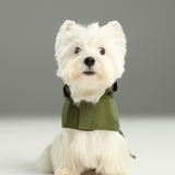 Capsule Raincoat - Green