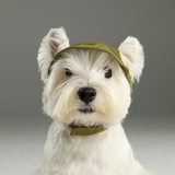 Tennis hat - green