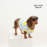 Smiley Dog Cotton T-shirt