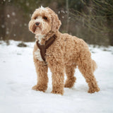 Brown - sherpa dog harness