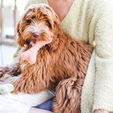 Bone felt wool toy