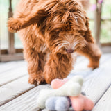 Bone felt wool toy