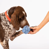 Knot today felt wool puzzle toy