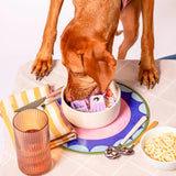 Snackaroni slow feeder insert & lick mat