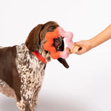 Wiggle ring felt wool toy