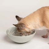 Wobbowl slow feeder bowl