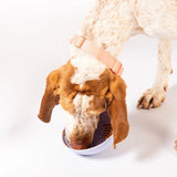 Wobbowl slow feeder bowl
