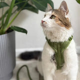 Green - velvet dog harness