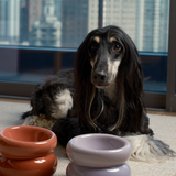 Soufflé Pet Bowl - Purple
