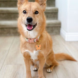 Orange Coquette Bow
