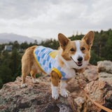 Smiley Dog Cotton T-shirt