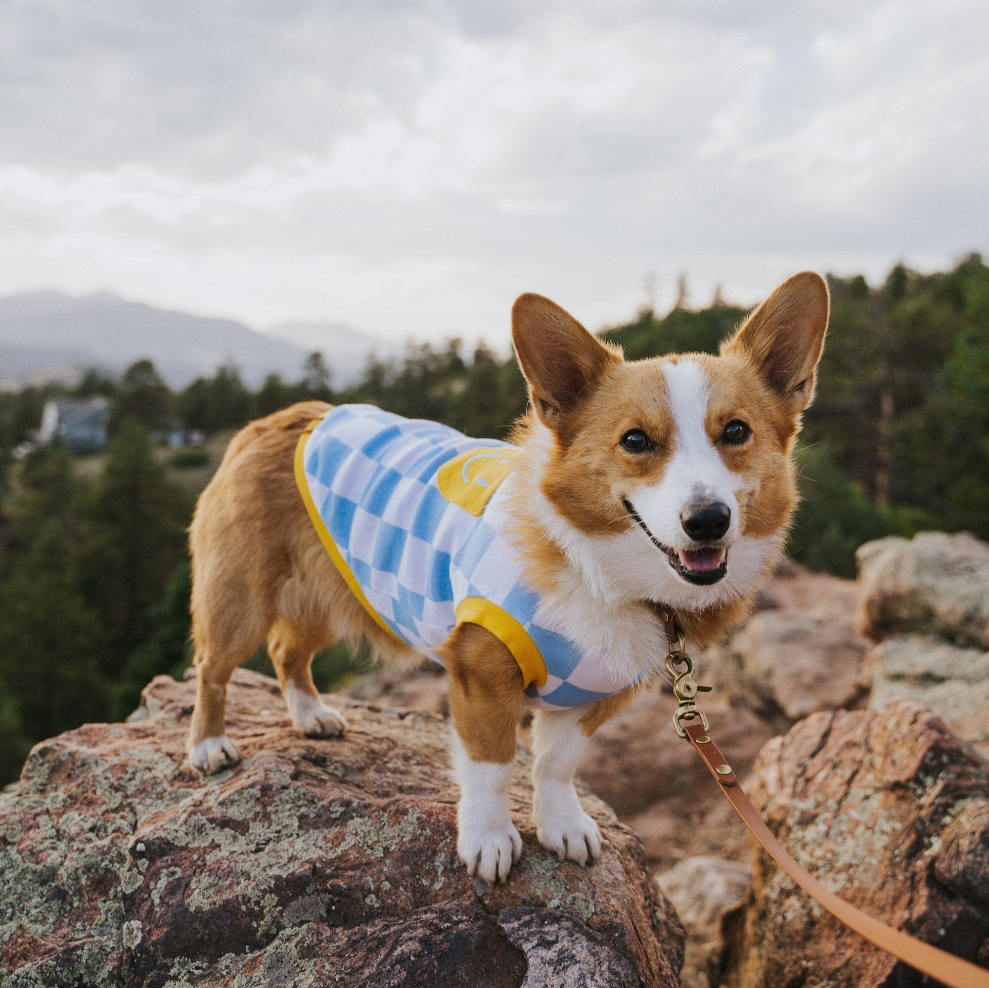 Smiley Dog Cotton T-shirt
