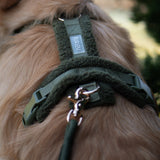Moss Green - sherpa dog harness