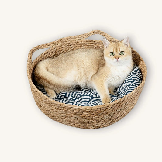 Woven Cat & Dog Bed - Handmade