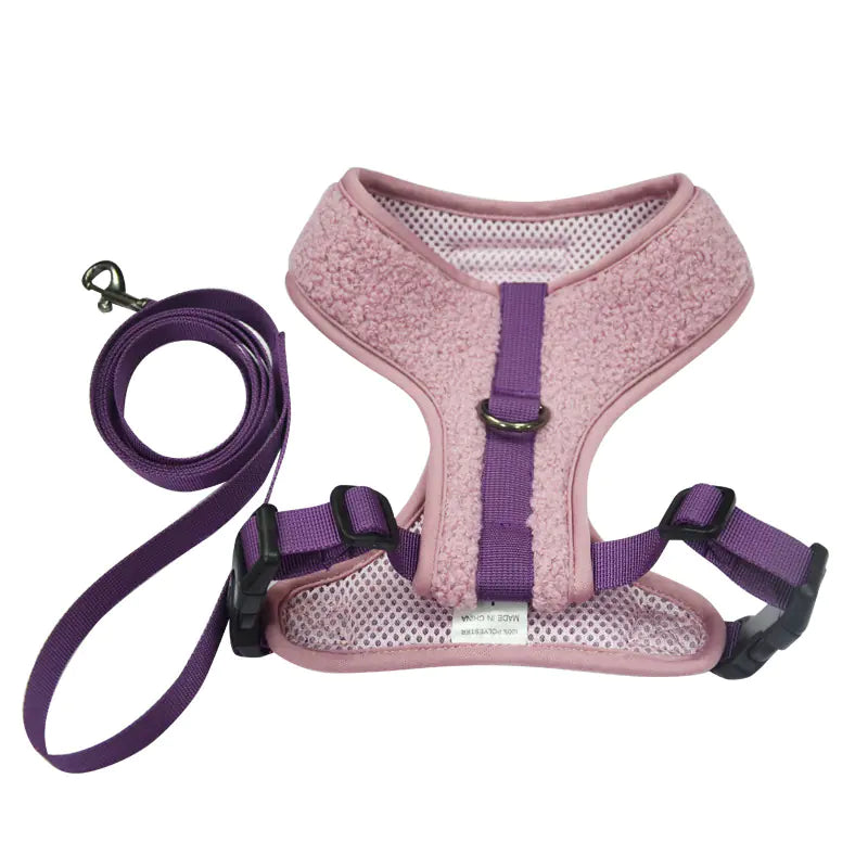 Double Buckle Dog Leash and Chest Strap Combo