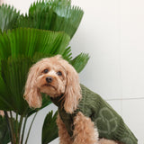 Pretzel Pet Sweater - Olive Green