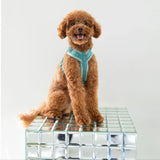 Blue - velvet dog harness