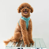 Magenta - velvet dog harness