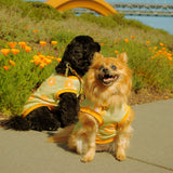 Flower Power Dog T-shirt