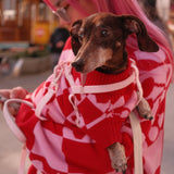 Love Dog Knitted Sweater