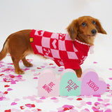 Love Dog Knitted Sweater
