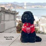 Love Dog Knitted Sweater