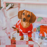 Love Dog Knitted Sweater