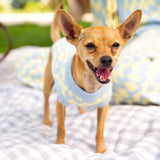 Seaside Swirl Cotton Knitted Dog Sweater