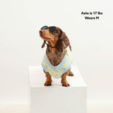 Seaside Swirl Cotton Knitted Dog Sweater