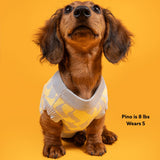 Seaside Swirl Cotton Knitted Dog Sweater