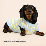 Seaside Swirl Cotton Knitted Dog Sweater