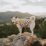 Smiley Dog Cotton T-shirt