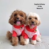Strawberry Knitted Dog Sweater