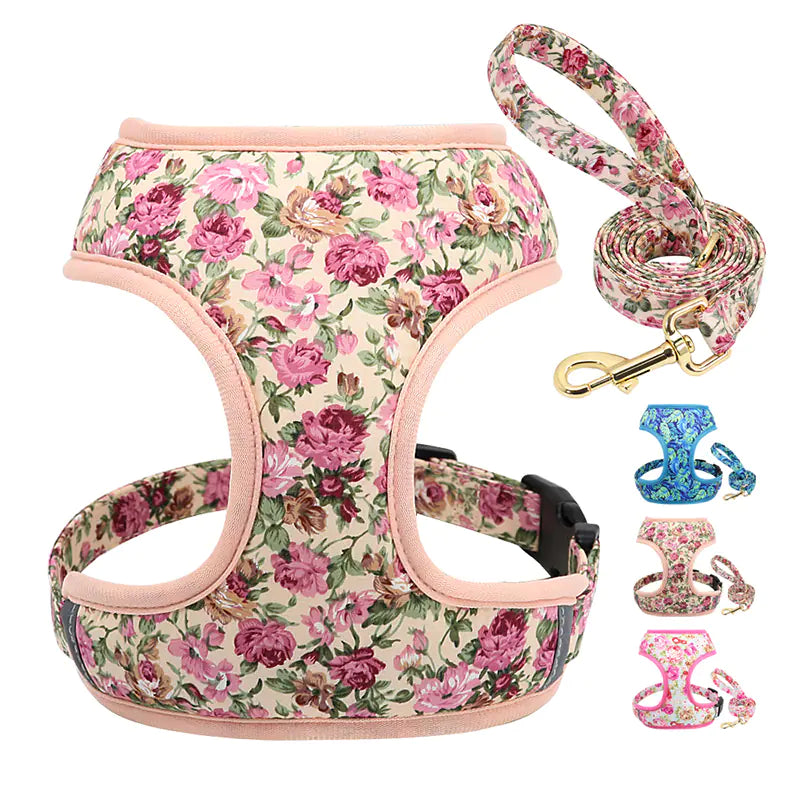 Dog Leash for Shiba Inu & Pomeranian Puppies