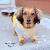 Wavy Knitted Dog Sweater