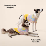 Wavy Knitted Dog Sweater