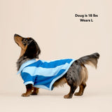Ziggy Cotton Dog Quarter-Zip Polo