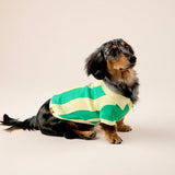 Ziggy Cotton Dog Quarter-Zip Polo