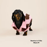 Ziggy Cotton Dog Quarter-Zip Polo